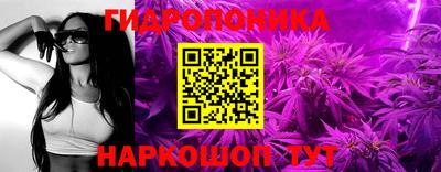 каннабис Новодвинск