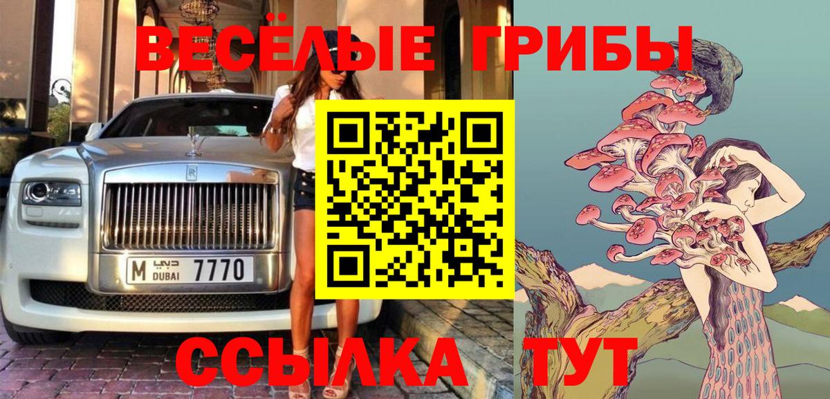 Псилоцибиновые грибы Psilocybine cubensis Старая Купавна