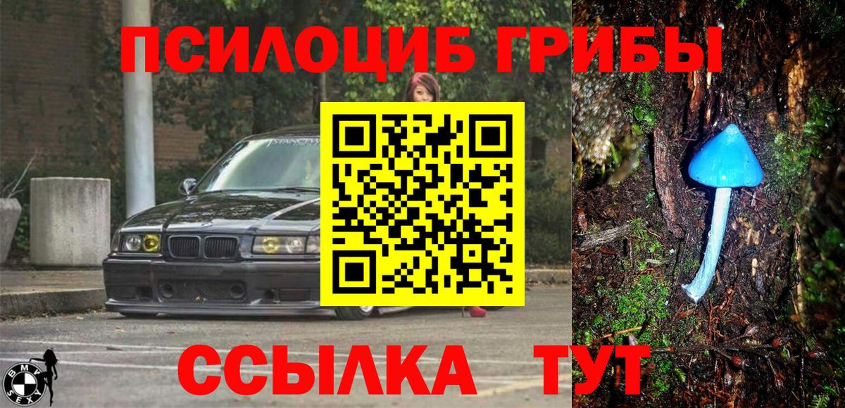 Галлюциногенные грибы Magic Shrooms  Вход с VPN  Псилоцибиновые грибы Psilocybe  Старая Купавна 